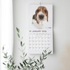 THE DOG 2026 Wall Calendar Large Size [Jack Russell Terrier]