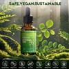 Moringa Leaf Drops with Vitamin C, Moringa Oleifera Extract Liquid