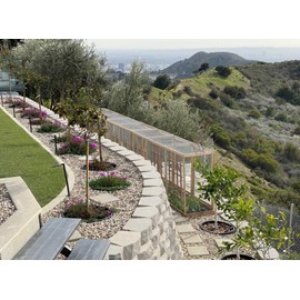 3 Pack of 24 in Planting Rings. Edging and Water Retention. Protects Trees and Separates Rock, Mulch and Grass