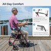 Drive Medical Aluminum Rollator Walker Fold Up and Removable Back