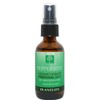 Plantlife Peppermint Mist Face and Body Spray - Straight From