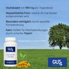 Curcumin Extract Capsules High Dose - 999 mg per Day