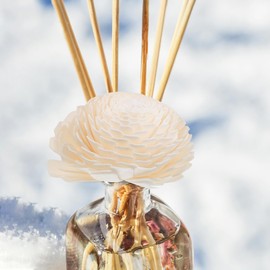 Healvian 6 Stück Diffusorköpfe Natürliche Schilfrohr-Diffusorstäbchen Aromaöl Diffusor mit Docht Ätherisches Öl Diffusor Stick Aroma Nachfüllstab Schilfrohr Diffusor Aroma Beige Holz