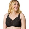 Wonderbra Full Support, Cushioned Strap Wire-Free Bra, Black, 36B