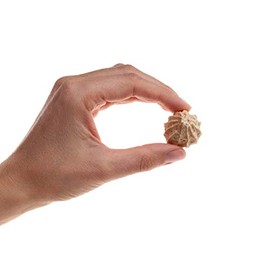 Preen Pets Chicken & Quinoa Cookies with Organic Coconut Oil for Dogs (1LB)