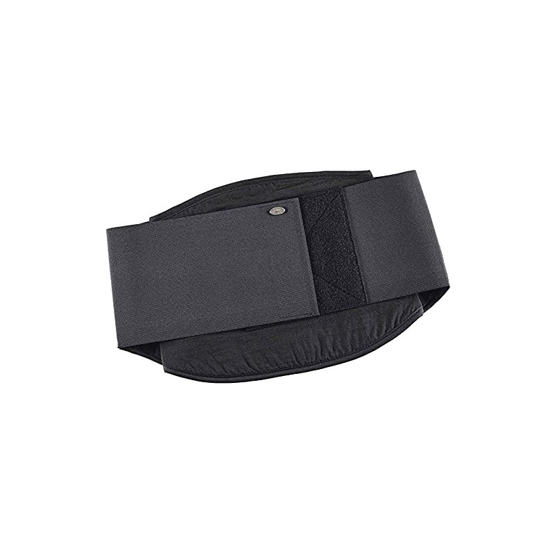 Held Falun II Kidney Belt