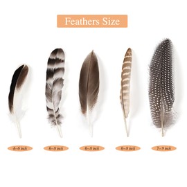 iHUFeather 40pcs Natural Pheasant Feathers Bulk Spotted Feathers 5 Styles Mixed Feathers for Crafts DIY Hat Floral Arrangements Wedding Home Decorations