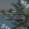 FILFLO [FILFLO]Quick Calming Spot Patch (12ea)