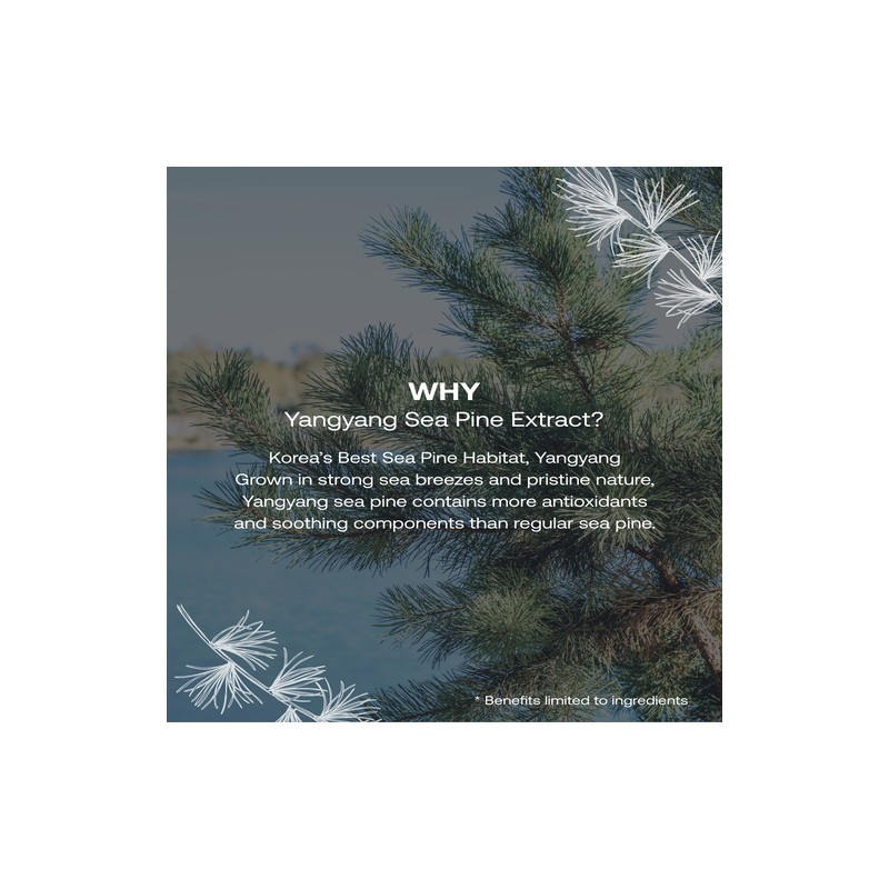 FILFLO [FILFLO]Quick Calming Spot Patch (12ea)