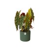 Elho B.for Soft Flower Pot