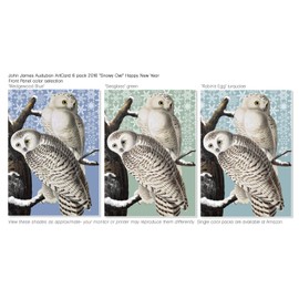 John James Audubon's"Snowy Owl" Happy New Year 2021 Color Variety ArtCard 6 pack