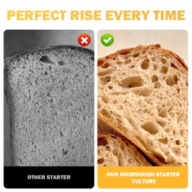Dehydrated Sourdough Starter San Francisco Style, Fast Activation Sourdough Starter Culture, Sour Dough Starter，Homemade Artisan Bread for Beginner (10G)