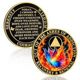 Butterfly in The Fire 3 Year Sobriety Coin Recovery & Renewal Three Year Sobriety Chip AA Chips and Medallion AA Coin Recovery Anniversary Token Sobriety Gifts for Men Women Alcoholics Anonymous Gift