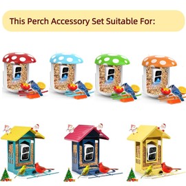 PeckCam Perch Accessory 2 Hummingbird Feeders 2 Fruit Holders and1 Jelly Box, Fit P53 and M53 Bird Feeder with Camera