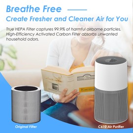 Flintar C610 Replacement Filter Z, Compatible with Winix C610 Air Purifier, 1712-0121-00, Z Filter, 3-in-1 H13 Grade True HEPA Filter, 2-Pack