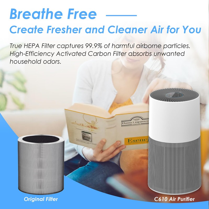 Flintar C610 Replacement Filter Z, Compatible with Winix C610 Air
