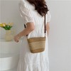 WXQCJL Straw Clutch Purse for Women Boho Straw Crossbody Bags