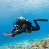 Underwater Metal Detector Pulse Pinpointer Induction Diving Treasure Waterproof Metal