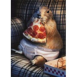Prairie Dog in Underwear - Avanti Funny Birthday Card