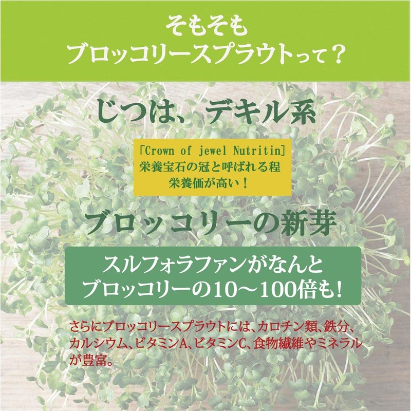 【医師が選ぶ最強食材 ブロッコリースプラウトパウダー 20g（50回分）150日 スルフォラファン サプリ ダイエット 美容 健康 エイジングケア ブロッコリースプラウト