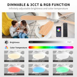 52" RGB Ceiling Fans with Lights and Remote Control, Dimmable, DC Reversible Motor, Noiseless, 6 Speeds,White Ceiling Fan for Bedroom Indoor/Outdoor