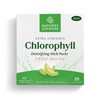 Nature's Sunshine Extra Strength Chlorophyll Sweet Melon 30 Stick Packs
