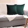 PiccoCasa Decorative Velvet Throw Pillow Covers Pack of 2, Square