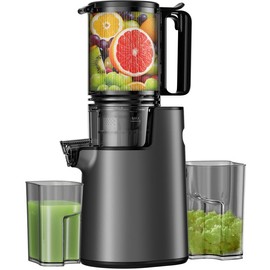 LQZ 350W Cold Press Masticating Juicer with 5.3-Inch Feed Chute, Blade-less Design, 50 RPM Slow Grinding Technology, 99% Juice Yield, Easy to Clean - Color: Black