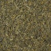 Green Tea Loose Leaf Travel Tin