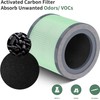 TR-8080 Replacement Filter Compatible with Dreamegg TR-8080 Purifier, 4-in-1 Filtration