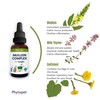 PhytoPet Mullein Complex | 30ml |100% Natural Herbal Remedy |