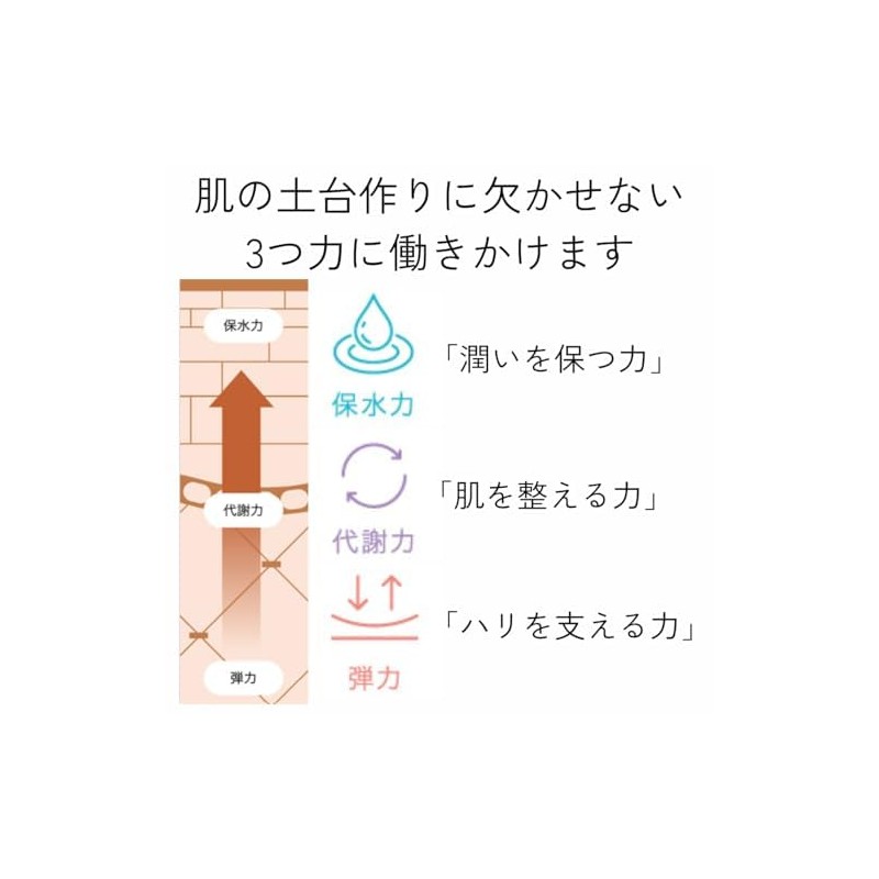 Skin Coach Souffle Cream (Cream) When using: Morning/Night; Order of