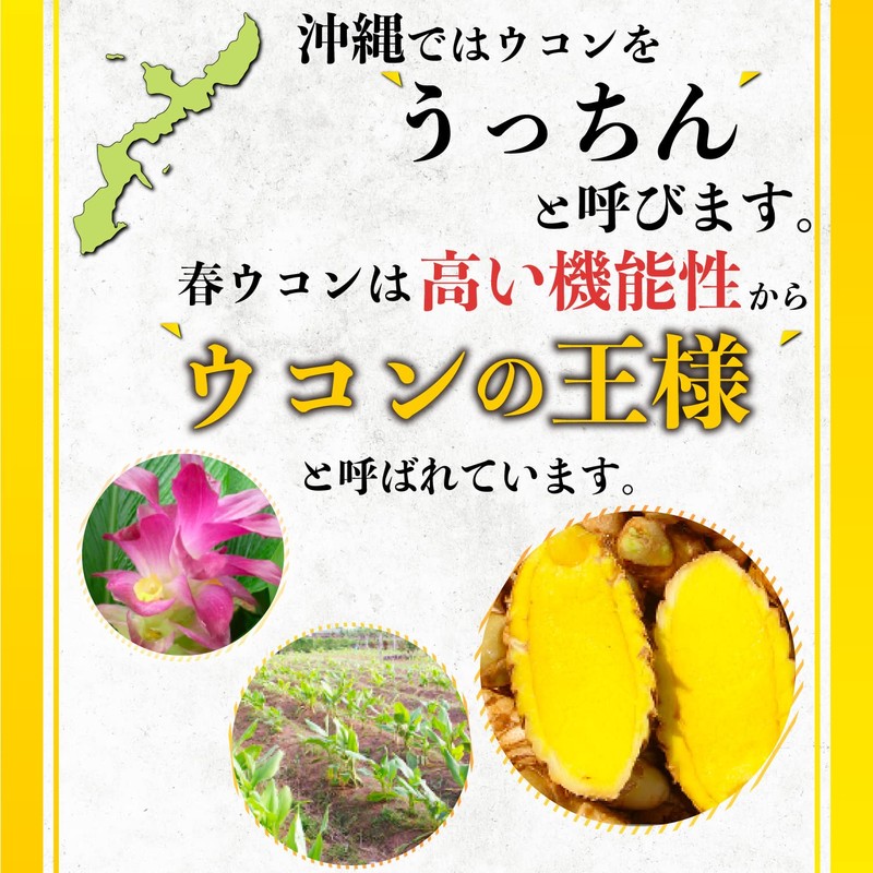 Nnakazen 強王 650粒 紫・秋・春うっちんをブレンドした錠剤 バランスよくウコンサプリを取り方に 秋・春・紫ウコン配合