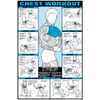 Fitnus Chart Series Co-ed Chest Workout 24 X 36 Laminated