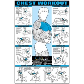 Fitnus Chart Series Co-ed Chest Workout 24 X 36 Laminated