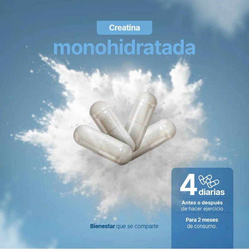 Creatina Monohidratada Cápsulas 240 Cáps Desempeño Recuperación Muscular Alta Pureza
