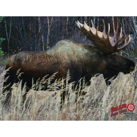 Dura Mesh Archery Moose Target, Brown, 25" x 32"