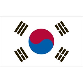 Valley Forge Flag 2-Foot by 3-Foot Nylon South Korea Flag