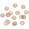 Pika Ace Nail Powder Round Bit 1.5mm #629 Brown 0.5g