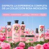 Shampoo Herbal Essences Rosa Mosqueta Suavidad para el Cabello 400ml