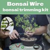 Bonsai Wire 7pcs-5 Rolls of Aluminum Bonsai Training Wire, Cutting