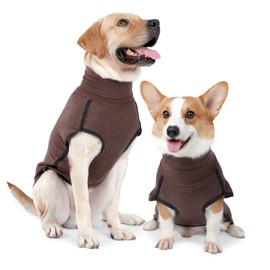 Heywean Dog Sweatshirt Stretch Fleece Vest Warm Dog Jumper Pullover for Small and Medium Dogs Pet Winter Clothing for Indoor and Outdoor Use