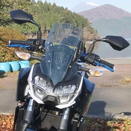 Motorcycle Windshield Deflector with Mounting Bracket for Z400 Z250 Z 400 250 2019 2020 2021 2022 2023 2024 Windscreen Visor Wind Screen Protector Airflow Flyscreen (Light Smoke)