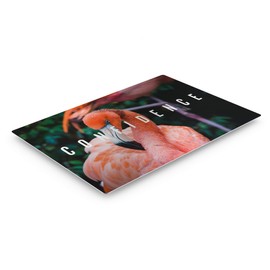 Smile Art Design Confidence Lettering Beautiful Flamingo Nature Motivational Metal Wall Art Inspirational Wall Art Entrepreneur Quote Print Office Living Room Decor Artwork Gift Ready to Hang 8x12