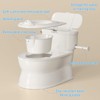 CheerTry 2-in-1 Toddler Potty Training Toilet - with Detachable Training