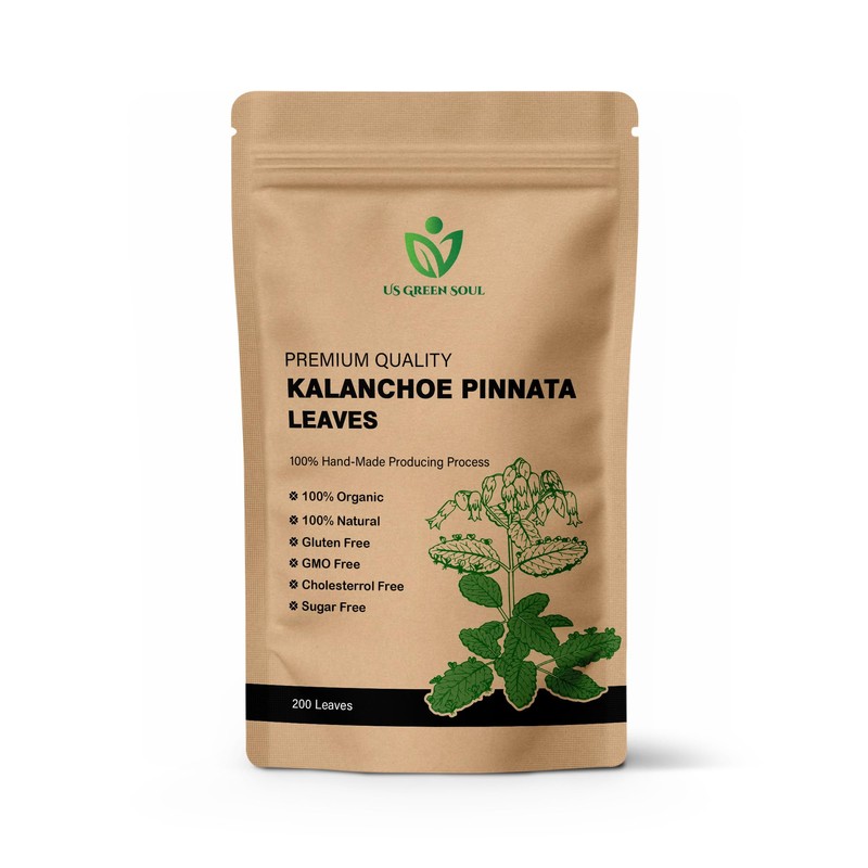 200 Kalanchoe Pinnata Leaves - 100% Pure, Organic, Dried Leaves