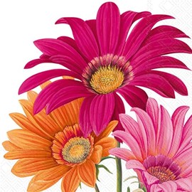 IHR Ideal Home Range Cocktail Napkins Disposable 3-Ply Paper Party Napkin Pack, 5" x 5", Joyful Gerbera (White), 20-Count