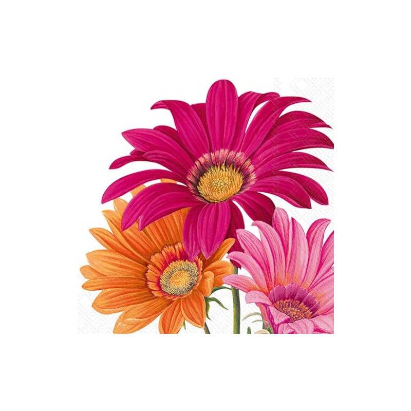 IHR Ideal Home Range Cocktail Napkins Disposable 3-Ply Paper Party