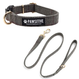 Pawsitive Wool Dog Collar - Hypoallergenic Dog Collar, Great Dog Collar for Sensitive Skin, Soft Collar for Dogs, Soft Organic Dog Collar Eco-Friendly (Small, Gray & Leash)