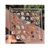 2 Pieces Mini Shell Display Box,Seashell Display Box,Acrylic Boxes for